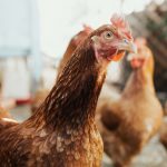 ben-moreland-YK3pooT7MQg-unsplash